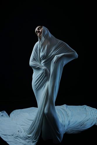 The art of veiling, Denia R.