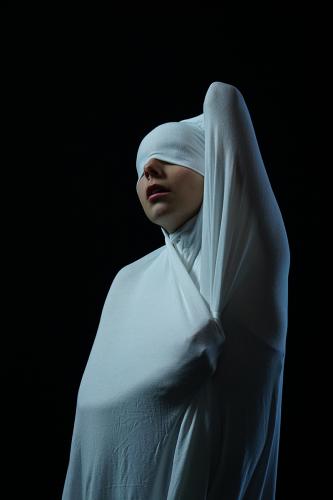 The art of veiling, Denia R.