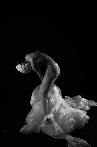 Rodinia, Plastic on Plastic (5)