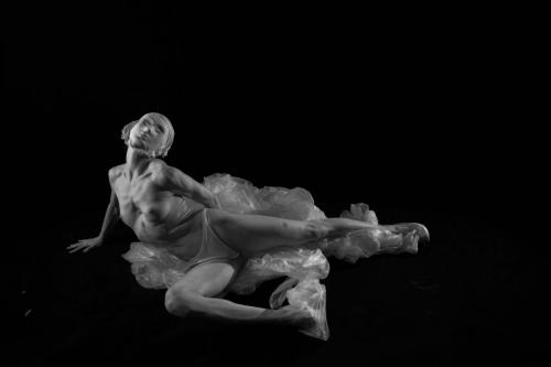 Rodinia, Plastic on Plastic (6)